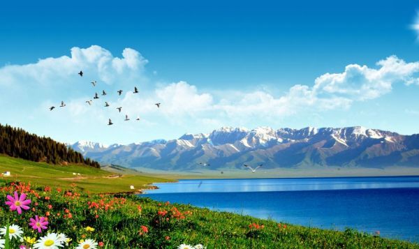 2022年新疆旅游攻略