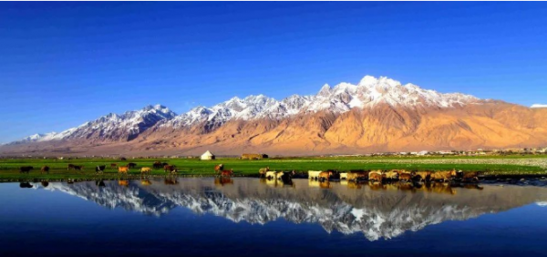 新疆是个好地方，做冰山上的来客 | 国家5A级帕米尔旅游区欢迎您