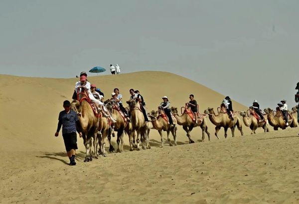 新疆突发疫情，滞留游客何去何从？最新进展→